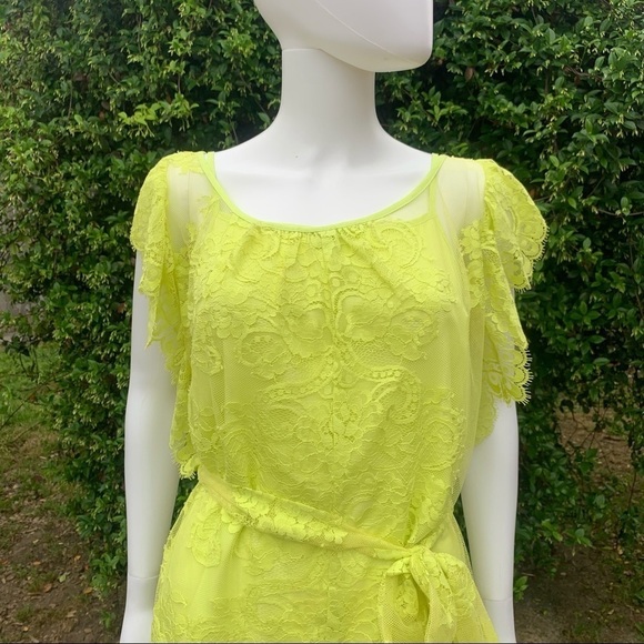 💋NWOT JENS Pirate Booty Key Lime 2 Pc Sheer Lace CoverUp/Dress - Picture 15 of 16